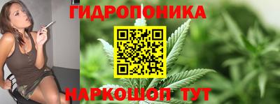 гашик Балашиха